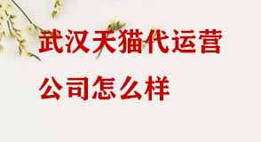 武漢天貓代運(yùn)營(yíng)公司怎么樣