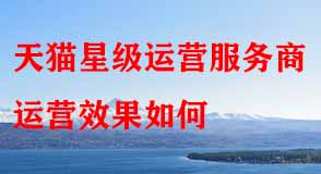 天貓星級(jí)運(yùn)營(yíng)服務(wù)商
