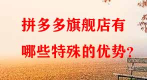 拼多多旗艦店有哪些特殊的優(yōu)勢